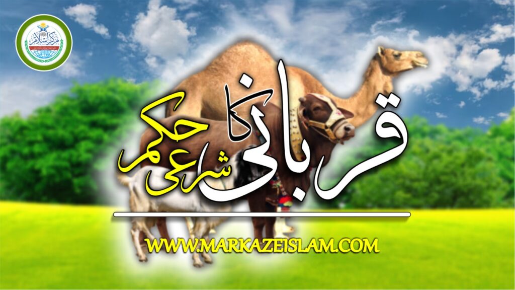 قربانی کا شرعی حکم