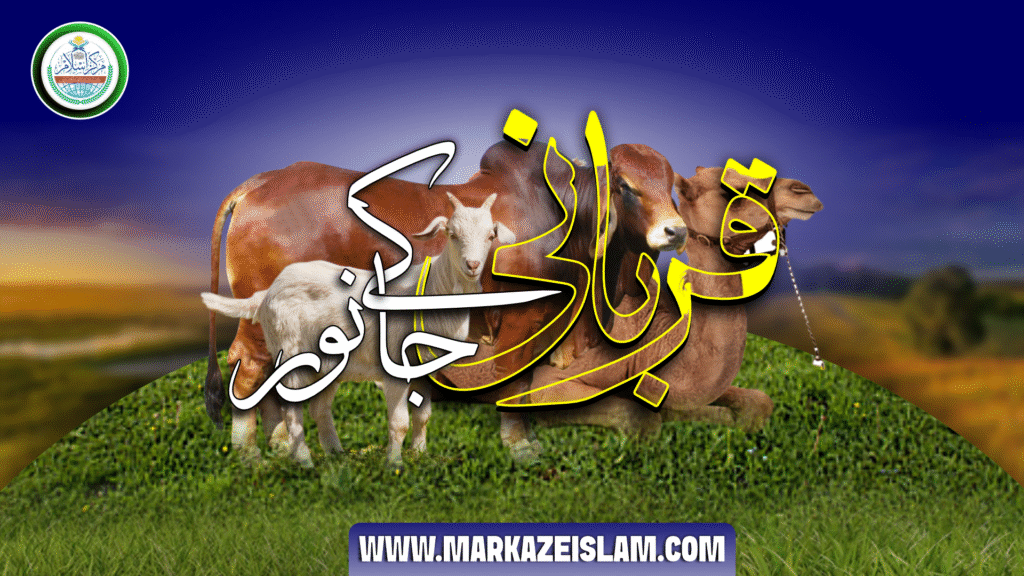 قربانی کے جانور کون کونسے ہیں اور ان کی عمریں کتنی ہونی چاہئیں؟
