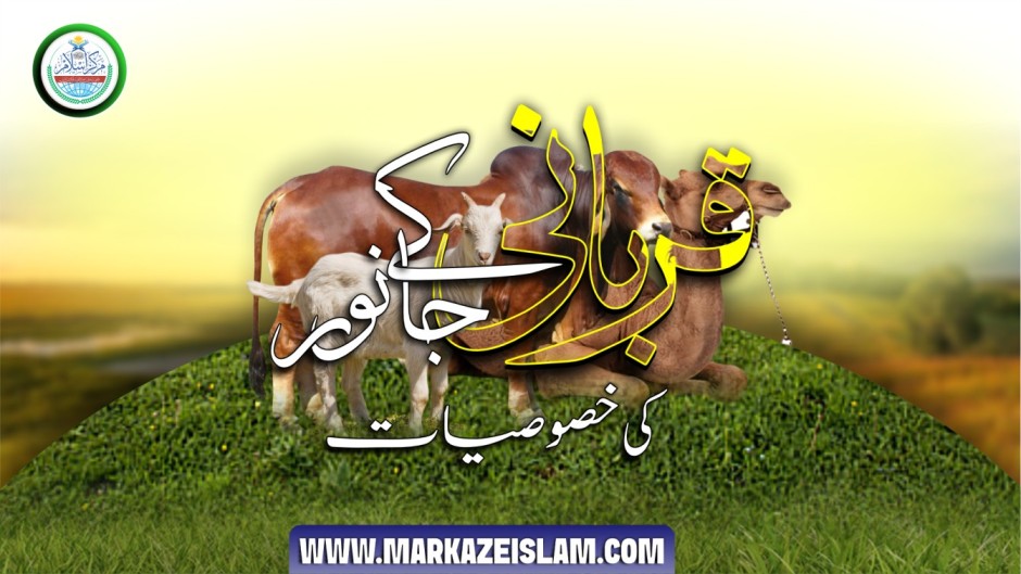 قربانی کے جانور کی خصوصیات