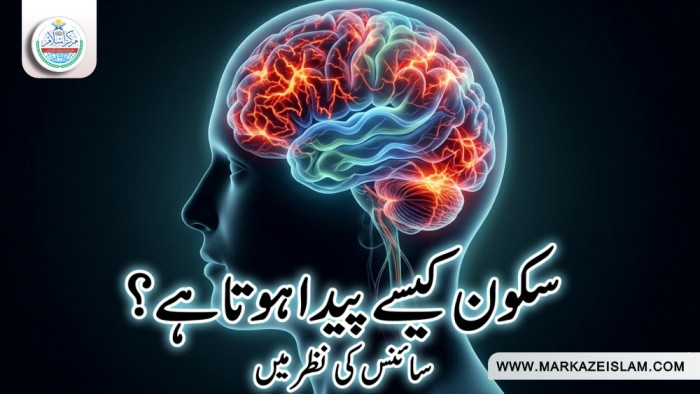سکون اور بے سکونی
انسان کی اندرونی  دنیا کا سچ